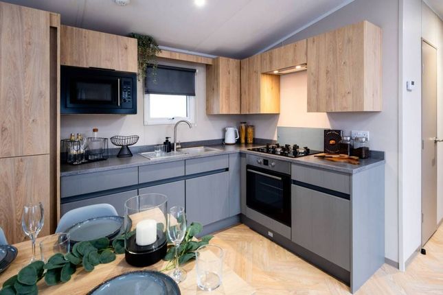 60, Twenty Shilling Wood Holiday Park, Comrie photo 4