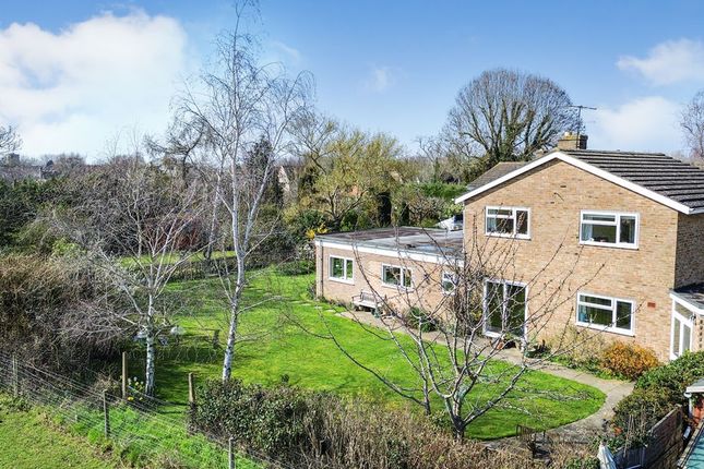 4, Beauchamp Place, Bedford photo 2