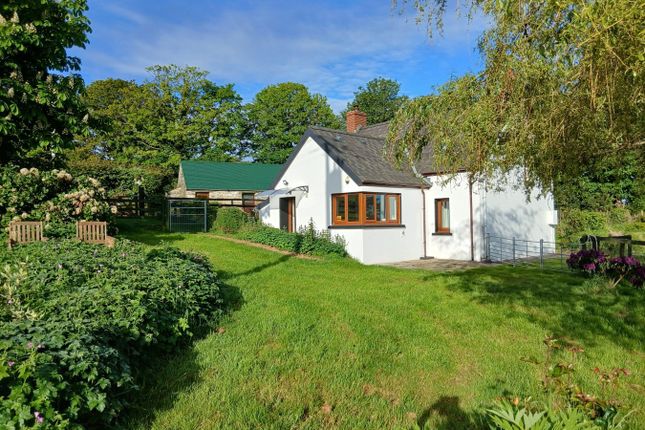 Parcau, Brynberian, Near Newport photo 3