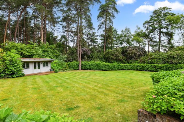 Lakeside Pines, Westwood Road, Windlesham photo 3