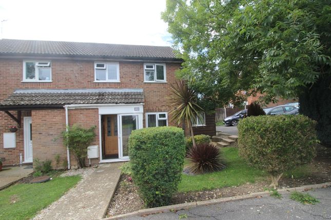 Thumbnail Semi-detached house for sale in Shalfleet Close, Langney, Eastbourne