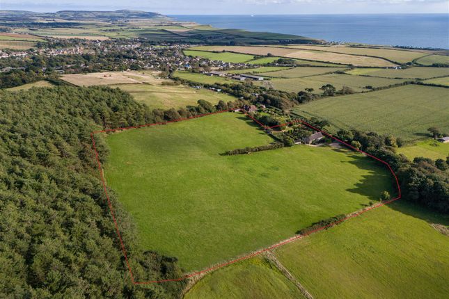 Little Pitt Place, Hunnyhill, Brighstone photo 3