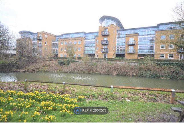 Callow Court From Central Park