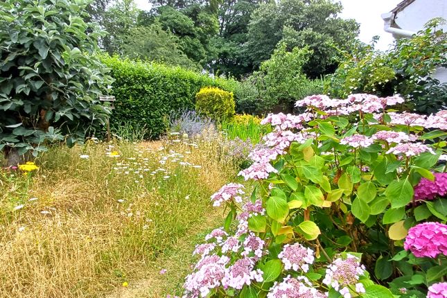 Witts End, Radbone Hill, Over Norton photo 4