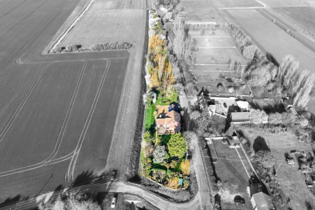 The Vineyard, Chequers Corner, Wisbech photo 4