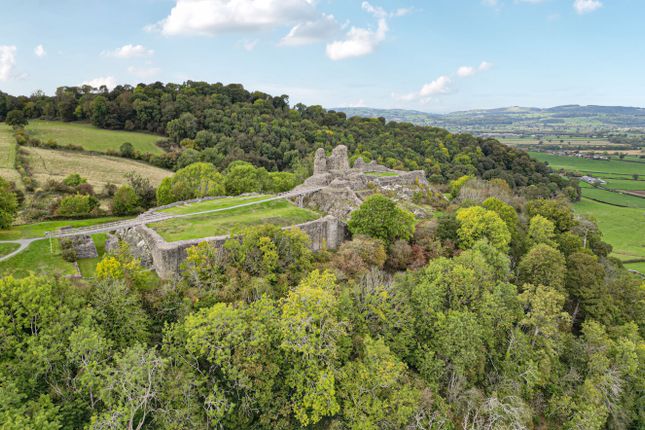 -68Dd6399843Fb-13...