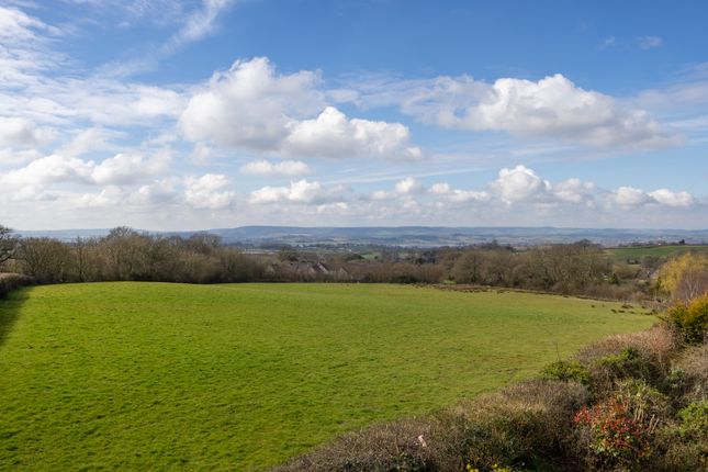 A23 - Woodbury Lodge - 250314