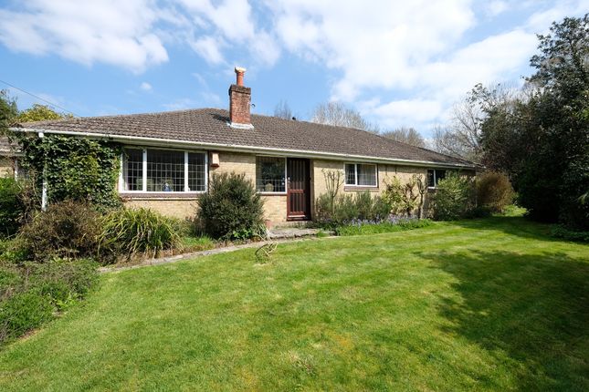 Thumbnail Detached bungalow for sale in Eling Hill, Totton