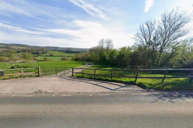 BEAU PADDOCK, EASTON, WELLS photo 5