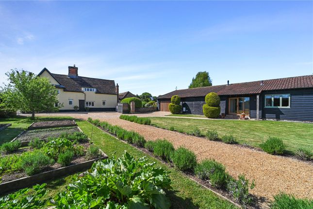 Kitchen Garden