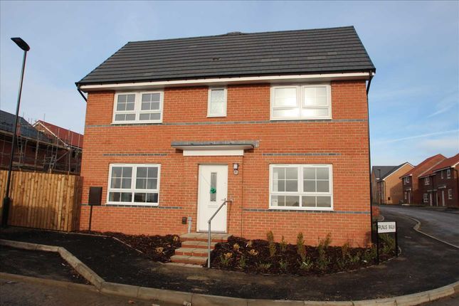 Thumbnail Semi-detached house to rent in Prunus Walk, Newcastle Upon Tyne