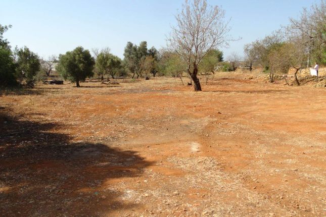 Land for sale in Olhão, Olhão, Portugal