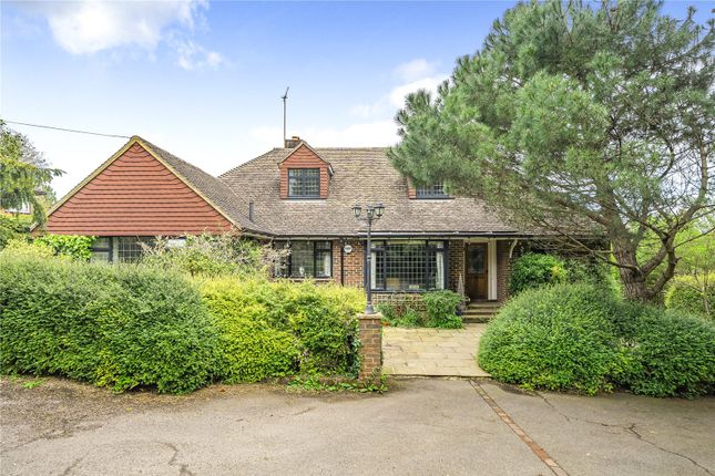 Thumbnail Detached house to rent in Argos Hill, Mayfield, East Sussex