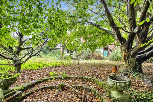 Courtlands, Arundel Road, Chichester photo 3