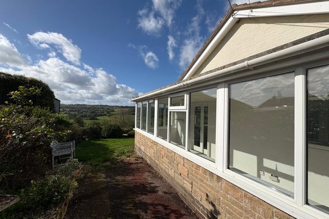 Heathstock, Honiton photo 4
