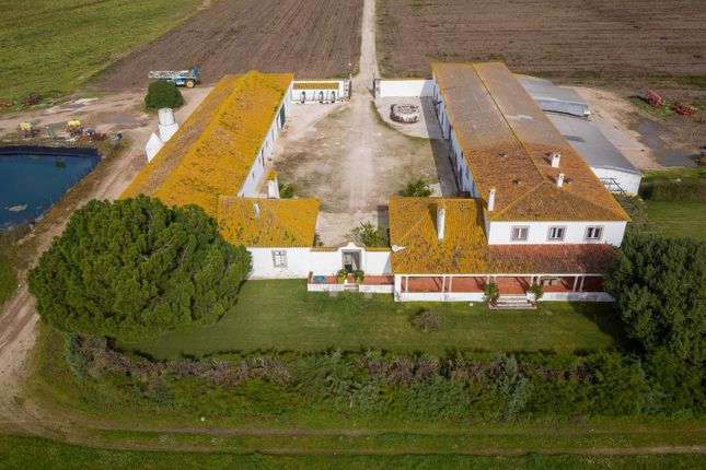 Farm for sale in 2150 Golegã, Portugal