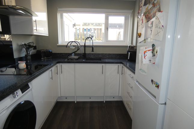 19, Sunnybrae, Aberdeen photo 4