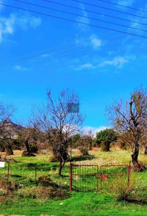 Thumbnail Land for sale in Pano Lefkara, Cyprus