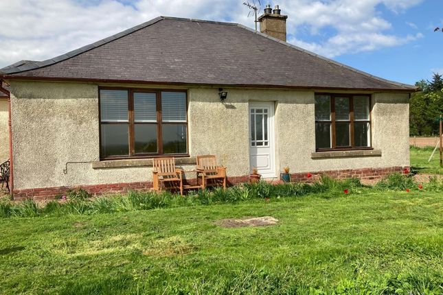 Thumbnail Detached house to rent in 50 Greenlaw Farm Holding, Foulden, Berwick Upon Tweed