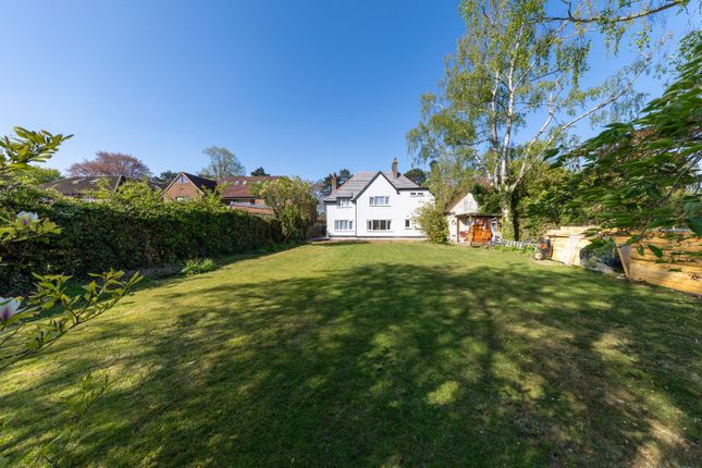 127 London Road, Luton, Bedfordshire photo 2