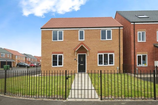 Thumbnail Detached house for sale in Fulmar Drive, Amble