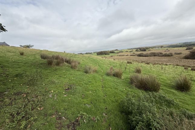 Land adj. to Penrhos, Bontnewydd, Nr. Aberystwyth photo 5