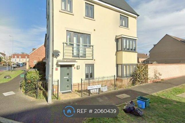 Thumbnail Semi-detached house to rent in Roberts Road, Colchester