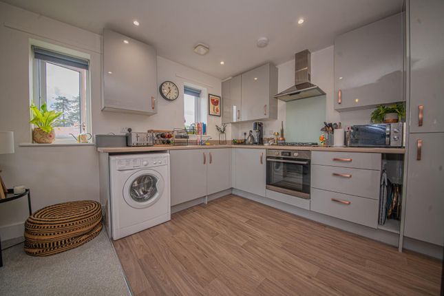 S/O, 29 Samuel Jarvis Avenue, Eastleigh photo 4