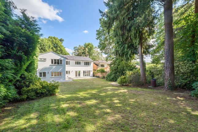 Detached house for sale in The Ridings, Frimley, Surrey GU16