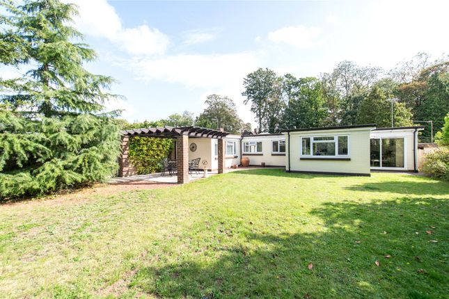 Bungalow for sale in Windsor Close, Maidstone, Kent