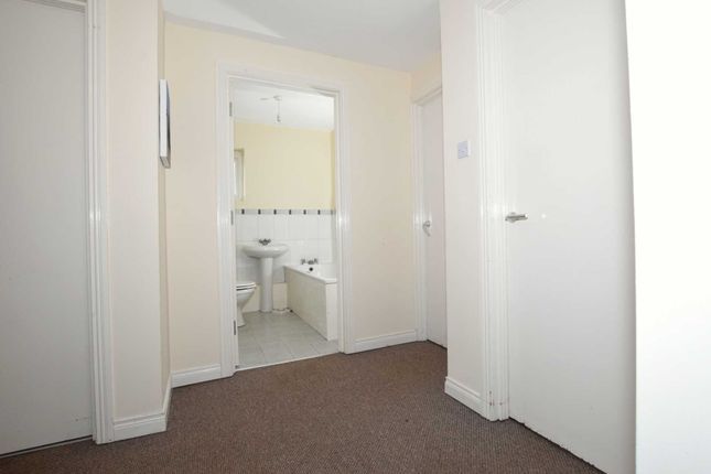 22, Clarence House, Bangor photo 4