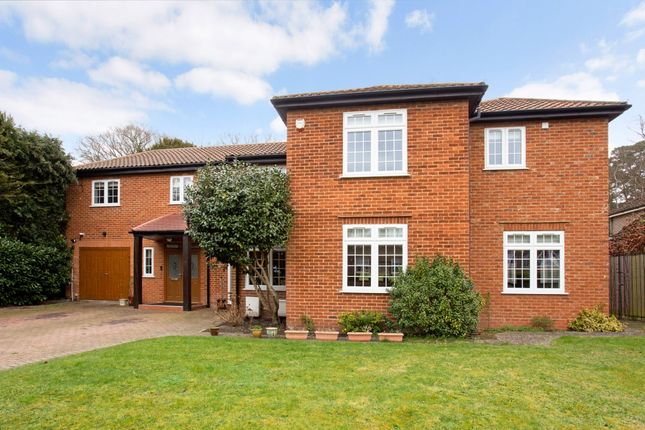 Thumbnail Detached house to rent in Woodend Drive, Ascot