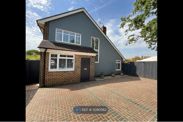 Broadview Gardens, Worthing photo 4