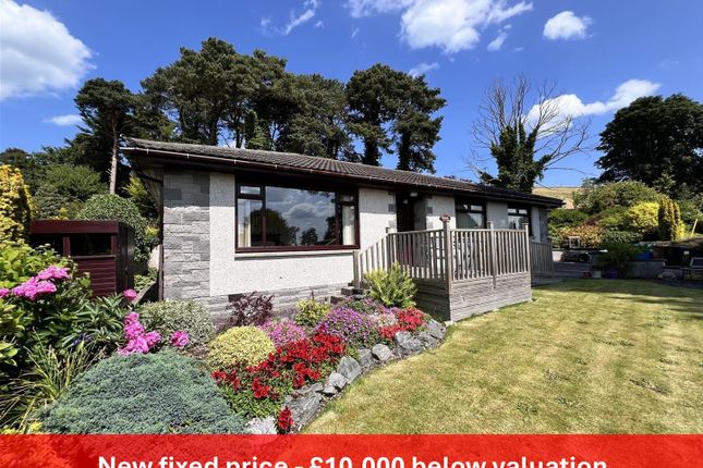 Shiloh Avoch_Banner.Jpg