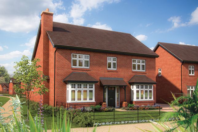 Thumbnail Detached house for sale in "The Lime" at Warwick Road, Kenilworth