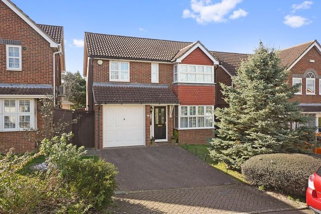 Detached house to rent in Grizedale Close, Rochester