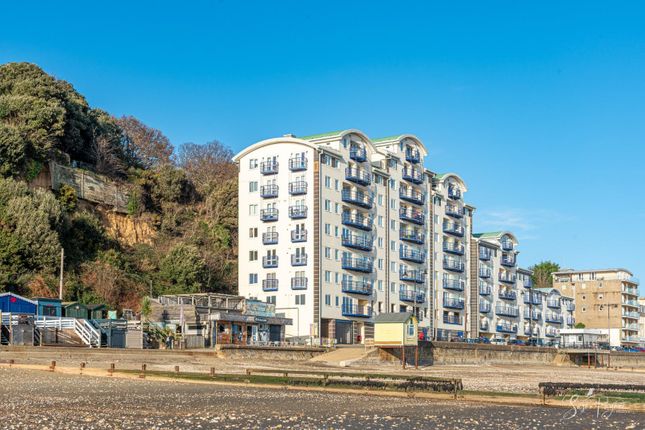 49 Napoleons Landing