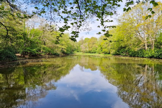 Detached house for sale in Lower Sandy Down, Boldre, Lymington, Hampshire