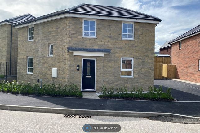Thumbnail Detached house to rent in Honeygold Vale, Appleton, Warrington
