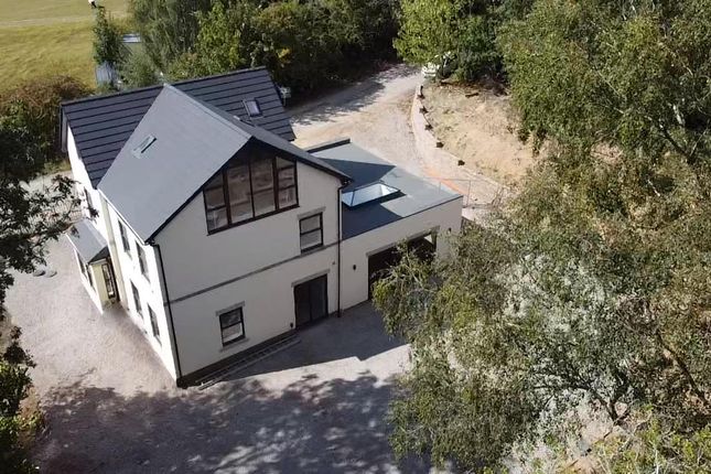 Outside - Birdseye View