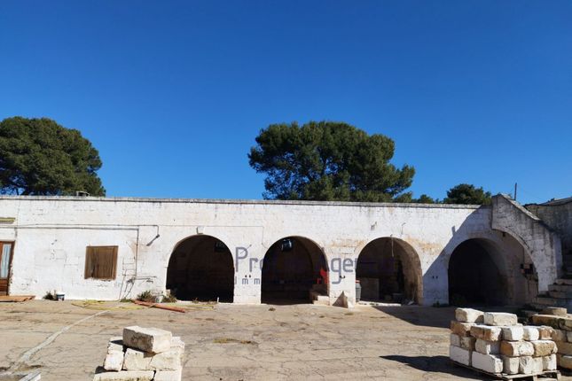Farmhouse for sale in Contrada Specchia, Carovigno, Brindisi, Puglia, Italy