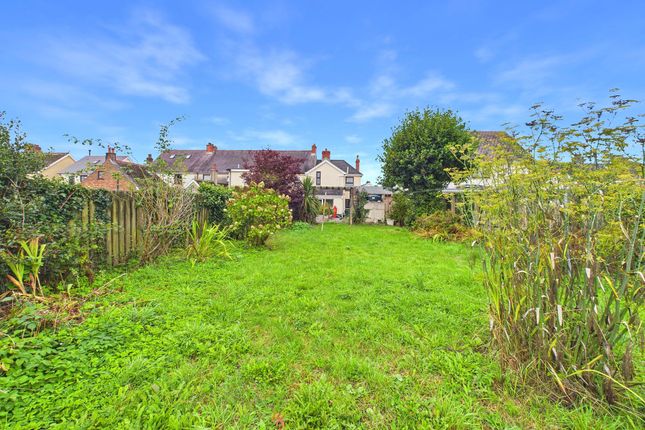 Gwynfryn, Clynderwen photo 4