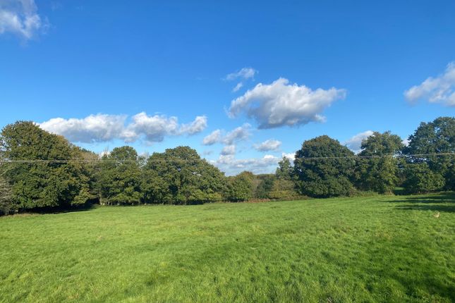 Land for sale in Rookery Lane, Earlsdown, Near Dallington