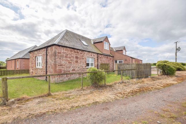 Thumbnail Semi-detached house to rent in West Mains Of Auchmithie, Arbroath, Angus