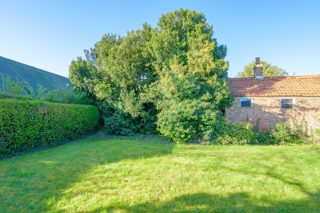 28 Hamilton Road, Alford photo 4