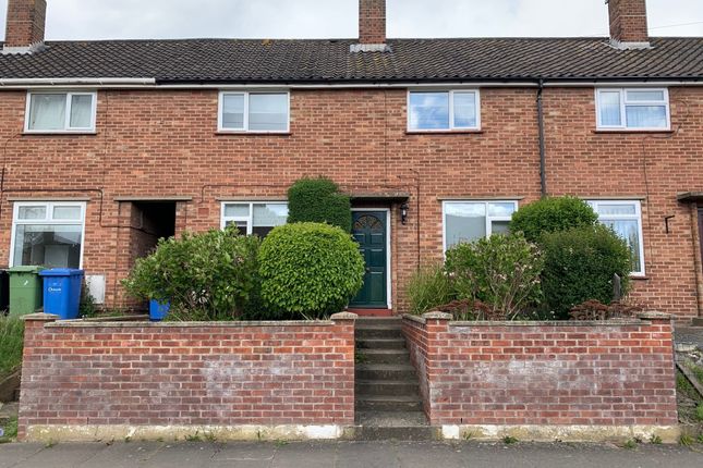 Thumbnail Terraced house to rent in Lovelace Road, Norwich