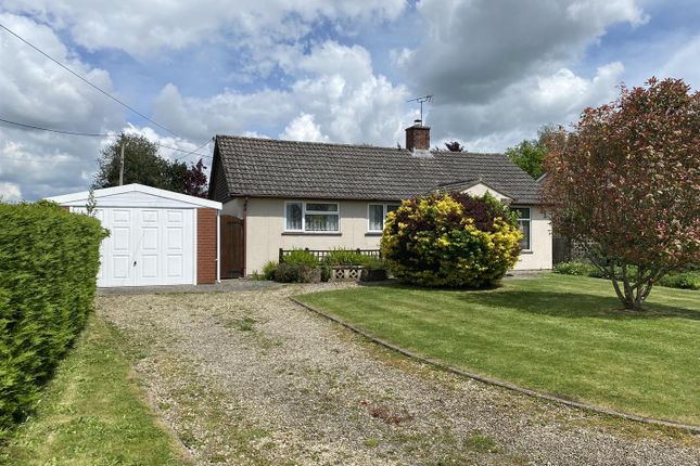 Thumbnail Detached bungalow for sale in Lopen Road, Hinton St. George, Somerset