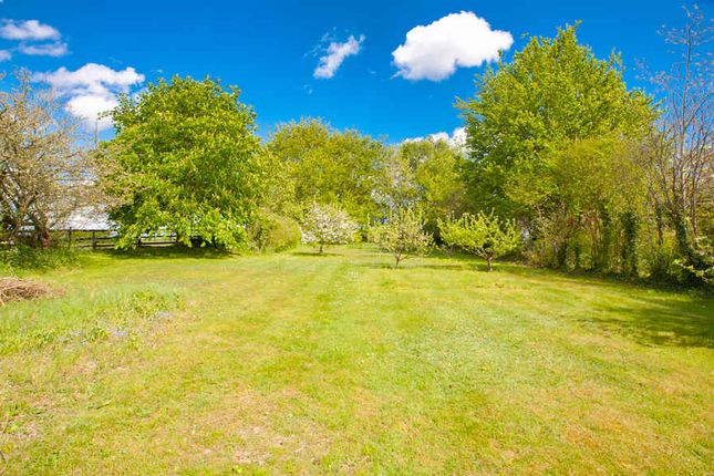 86 Wallingford Road, Goring on Thames photo 4