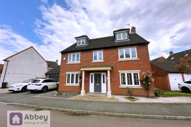 Thumbnail Detached house to rent in Billesdon Close, Leicester