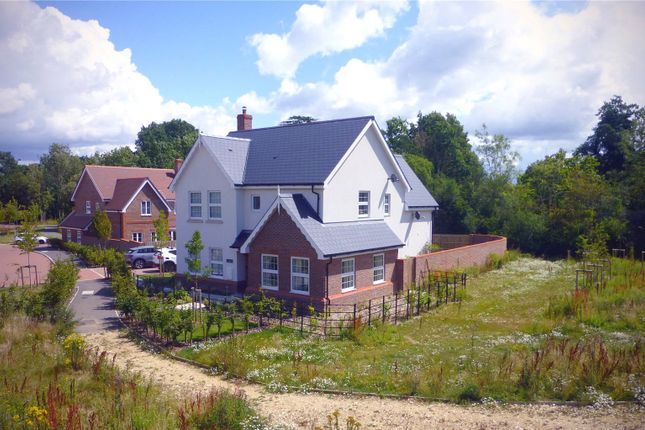Thumbnail Detached house for sale in 3 Springwood, Slinfold